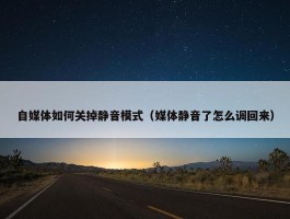 自媒体如何关掉静音模式（媒体静音了怎么调回来）