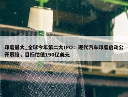 印度最大_全球今年第二大IPO：现代汽车印度启动公开募股，目标估值190亿美元