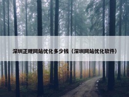 深圳正规网站优化多少钱（深圳网站优化软件）