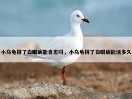 小乌龟得了白眼病能自愈吗，小乌龟得了白眼病能活多久