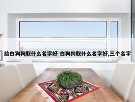 给白狗狗取什么名字好 白狗狗取什么名字好,三个名字