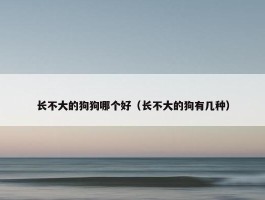 长不大的狗狗哪个好（长不大的狗有几种）