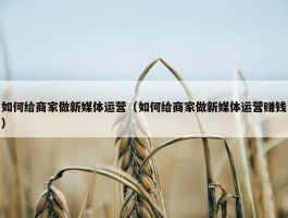 如何给商家做新媒体运营（如何给商家做新媒体运营赚钱）