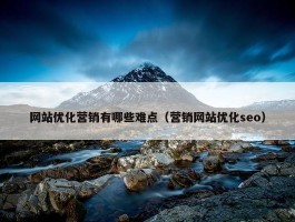 网站优化营销有哪些难点（营销网站优化seo）