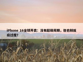 iPhone 16全球开卖：没有超级周期，但也别反应过度？