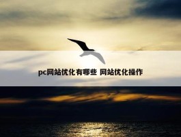 pc网站优化有哪些 网站优化操作