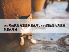 seo网站优化方案案例怎么写，seo网站优化方案案例怎么写好