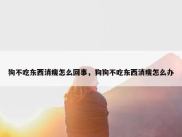 狗不吃东西消瘦怎么回事，狗狗不吃东西消瘦怎么办