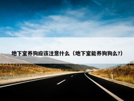 地下室养狗应该注意什么（地下室能养狗狗么?）