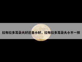 拉布拉多耳朵大好还是小好，拉布拉多耳朵大小不一样