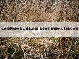 抖音原视频怎么去除抖音号（抖音的视频怎么去除抖音号）