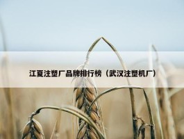 江夏注塑厂品牌排行榜（武汉注塑机厂）