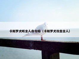 卡斯罗犬听主人命令吗（卡斯罗犬攻击主人）