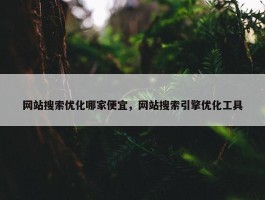 网站搜索优化哪家便宜，网站搜索引擎优化工具