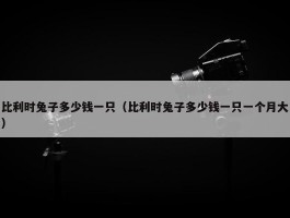 比利时兔子多少钱一只（比利时兔子多少钱一只一个月大）