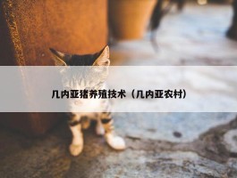 几内亚猪养殖技术（几内亚农村）