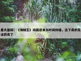 重大噩耗！《海贼王》动画迎来长时间停播，这下真的见证历史了