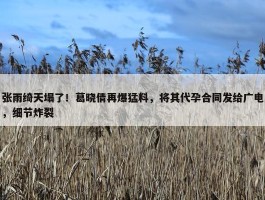 张雨绮天塌了！葛晓倩再爆猛料，将其代孕合同发给广电，细节炸裂