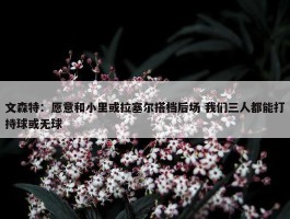 文森特：愿意和小里或拉塞尔搭档后场 我们三人都能打持球或无球