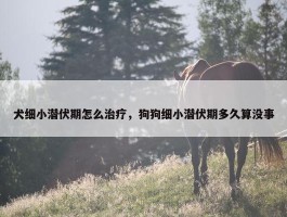 犬细小潜伏期怎么治疗，狗狗细小潜伏期多久算没事