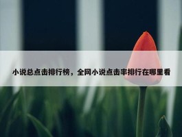 小说总点击排行榜，全网小说点击率排行在哪里看