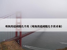 母狗月经间隔几个月（母狗月经间隔几个月才来）