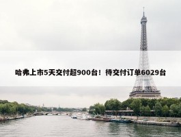 哈弗上市5天交付超900台！待交付订单6029台