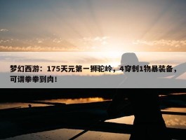 梦幻西游：175天元第一狮驼岭，4穿刺1物暴装备，可谓拳拳到肉！