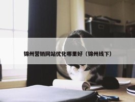 锦州营销网站优化哪里好（锦州线下）