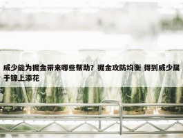 威少能为掘金带来哪些帮助？掘金攻防均衡 得到威少属于锦上添花