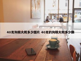 40克狗粮大概多少图片 40克的狗粮大概多少颗