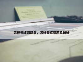 怎样养红鹦鹉鱼，怎样养红鹦鹉鱼最好