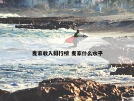 麦家收入排行榜 麦家什么水平