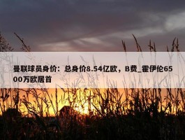 曼联球员身价：总身价8.54亿欧，B费_霍伊伦6500万欧居首