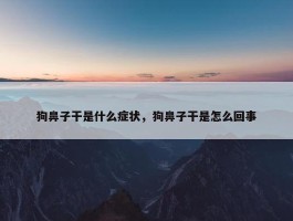 狗鼻子干是什么症状，狗鼻子干是怎么回事