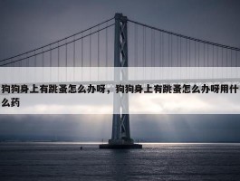 狗狗身上有跳蚤怎么办呀，狗狗身上有跳蚤怎么办呀用什么药