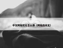 中文网站优化怎么做（网站改中文）