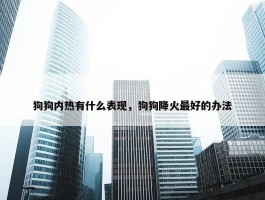 狗狗内热有什么表现，狗狗降火最好的办法