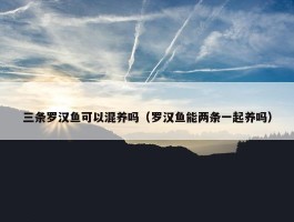 三条罗汉鱼可以混养吗（罗汉鱼能两条一起养吗）