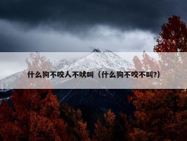 什么狗不咬人不吠叫（什么狗不咬不叫?）