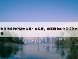 刚买回来的仓鼠怎么养不容易死，刚买回来的仓鼠该怎么养