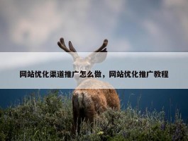 网站优化渠道推广怎么做，网站优化推广教程