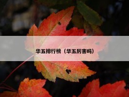 华五排行榜（华五厉害吗）