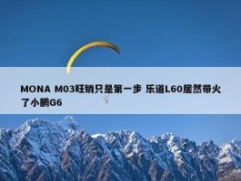 MONA M03旺销只是第一步 乐道L60居然带火了小鹏G6