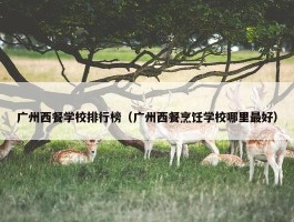 广州西餐学校排行榜（广州西餐烹饪学校哪里最好）