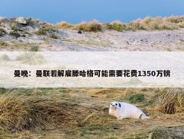 曼晚：曼联若解雇滕哈格可能需要花费1350万镑