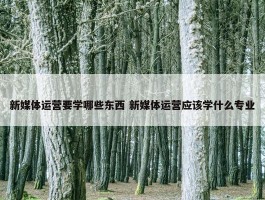 新媒体运营要学哪些东西 新媒体运营应该学什么专业