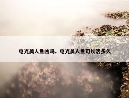 电光美人鱼凶吗，电光美人鱼可以活多久