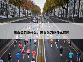 黑白关刀吃什么，黑白关刀吃什么饲料