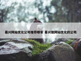 嘉兴网站优化公司推荐哪家 嘉兴做网站优化的公司